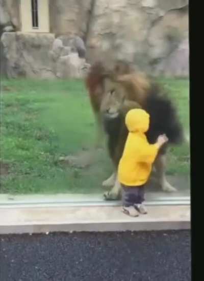 Turning your back on a predator