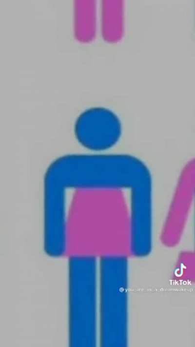 torso mujer
