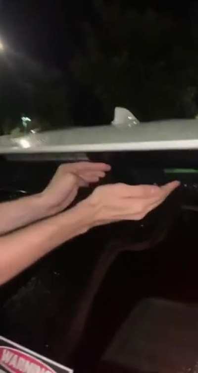 Froggie 🐸