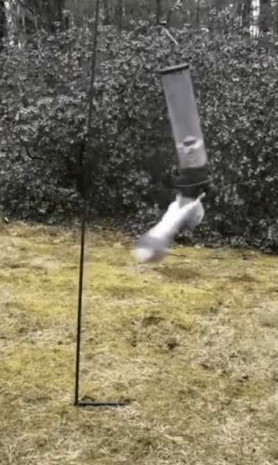 weeeee!