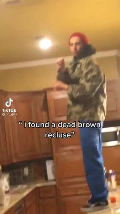 casually picks up a brown recluse