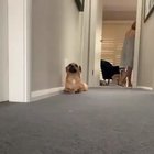 That morning stretch...