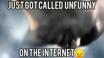 *dies