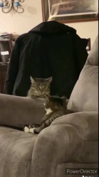 The Master of Stealth