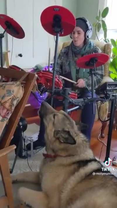 How can I hire this band?