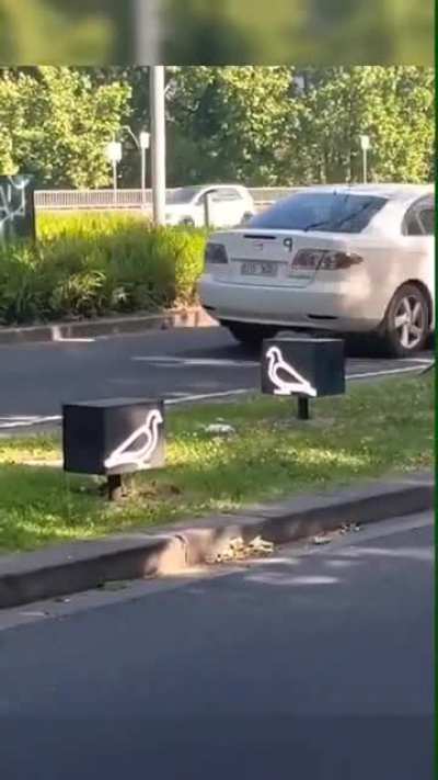 More Digital Birds