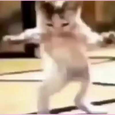 Ay Ay Yay