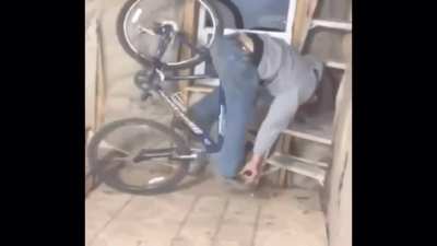Bike on Stairs Shrimp