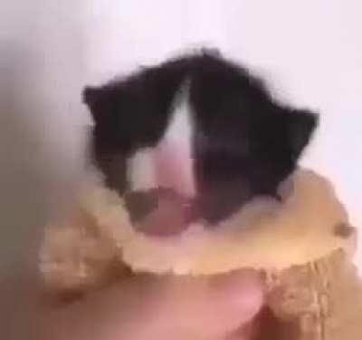 Fnf