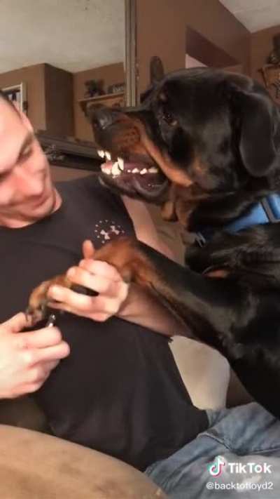 It don’t bite