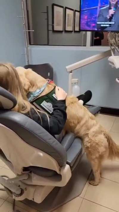 Dutch the service puppy meeting his patients for the day.