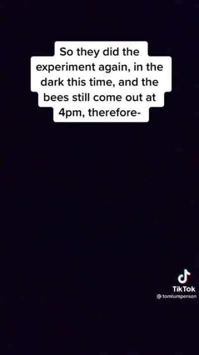 GME Megathread for April 15, 2021