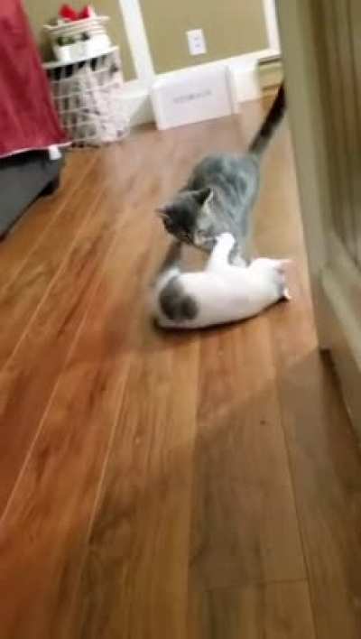 Does this count?
