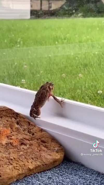 I want to break free!