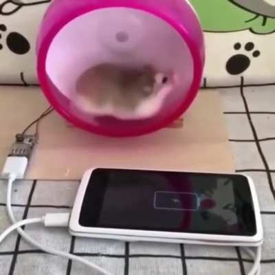Organic Power Bank!