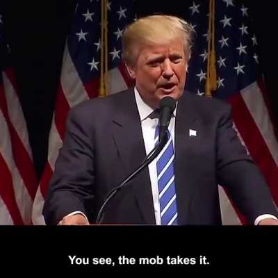 Trump comments about taking the 5th.