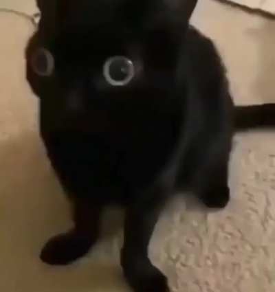😨