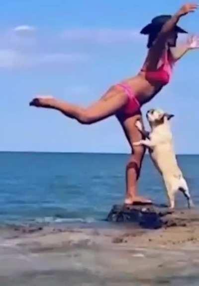That'll do Frenchie, that'll do.