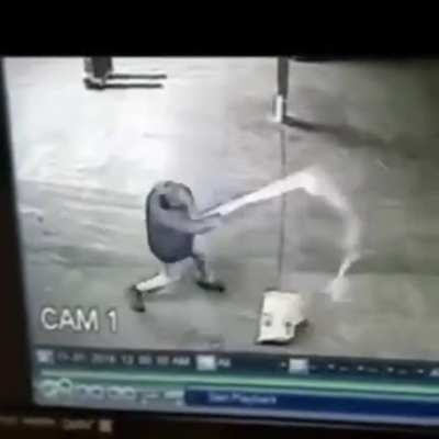 You will never know when they attack