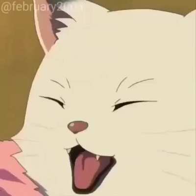 Meow meow