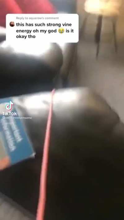 Part 2 - he’s ok!
