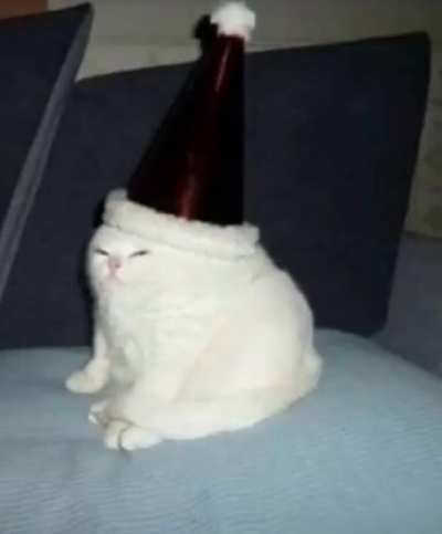 :D