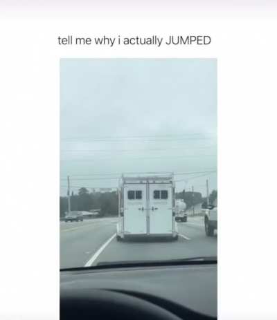 Horses? That's weird...