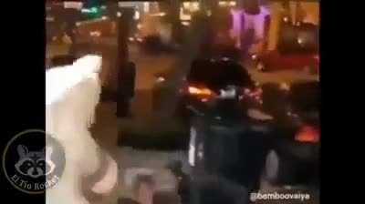 Próximamente el conejo asesino