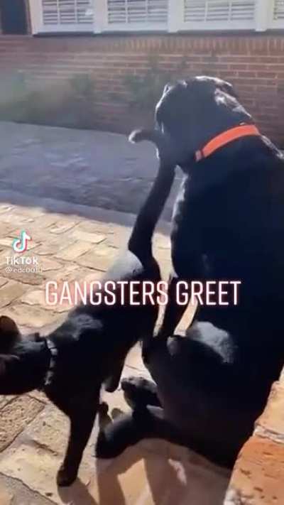 he said what up G