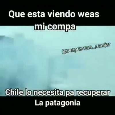 Dale weón