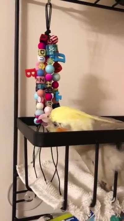 I made Pidgey a toy since I’ve been beading recently. What do you think? I’m calling it Alphabet Soup!