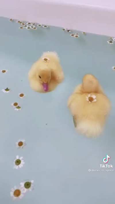 OKAY IM SORRY I HAVE TO SHARE THIS ITS THE CUTEST FUCKING THING EVER