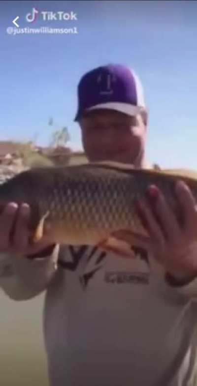 It’s carp