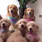 Whole squad is here