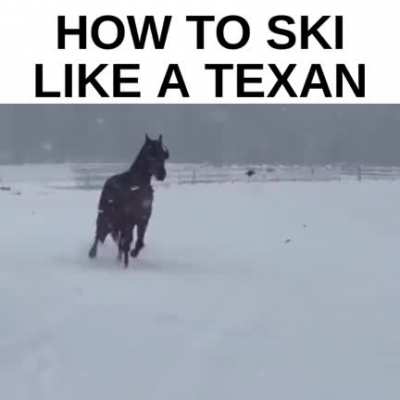 TexasMemes