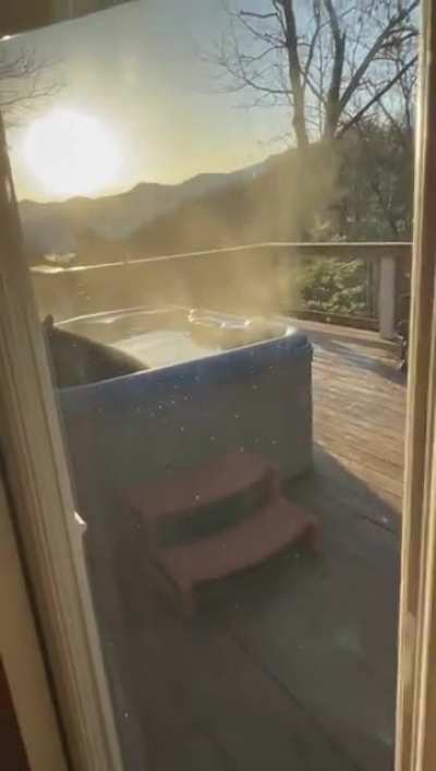 This bear is taking a bath in someone’s backyard jacuzzi