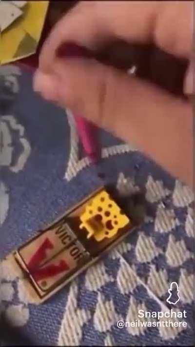 Just why?