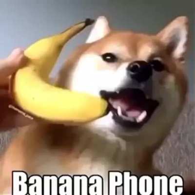 banana phone!!