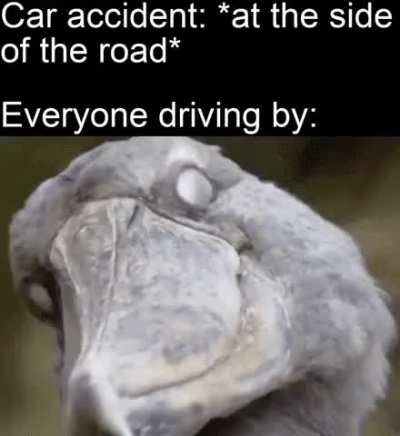 That’s how traffic starts