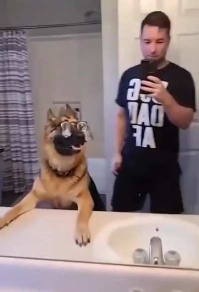 Happy googly-eyed dog!