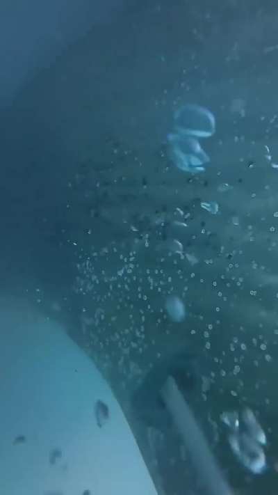 Cleaning the propellors of a vessel in the open blue
