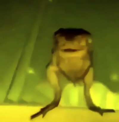 Frog likes cudi🙏