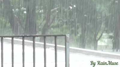 Heavy Rain
