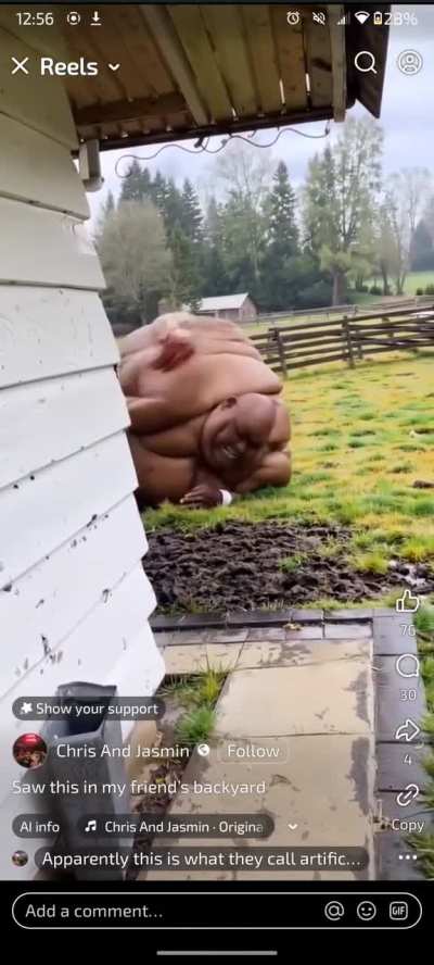 HOG SLOP