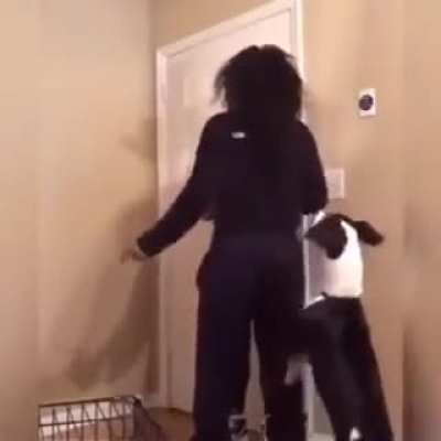 Woman shows up to pick up her dog and gets beaten.