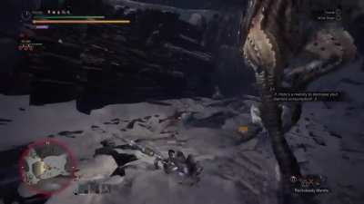 Dunked on