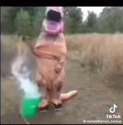 Big bucket