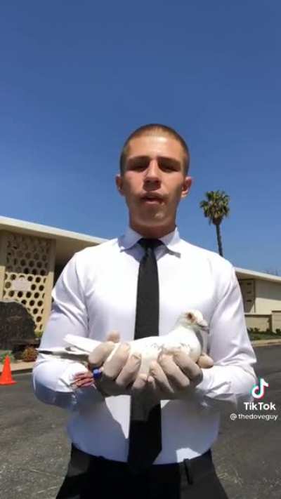 He’s a professional