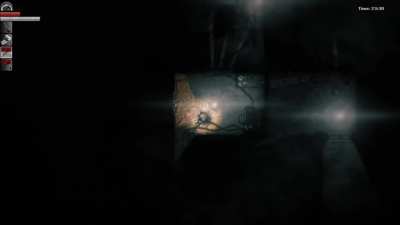Darkwood in a nutshell