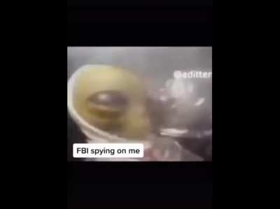 Tits